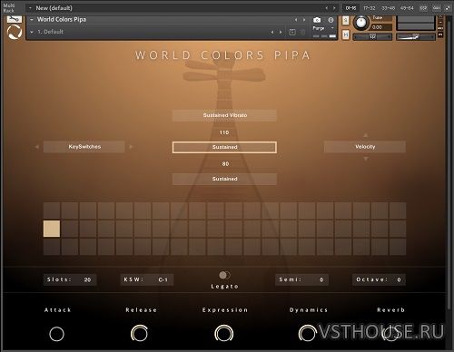 Evolution Series - World Colors Pipa 1.0.0 (KONTAKT)