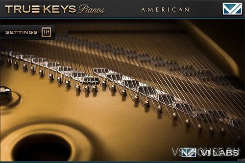 VI Labs Audio - True Keys American S (UVI Falcon) VI Labs Audio - True Keys American S (UVI Falcon)
