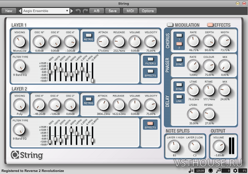 Loomer - String v1.14.13 LINUX. STANDALONE, VSTi x86 x64