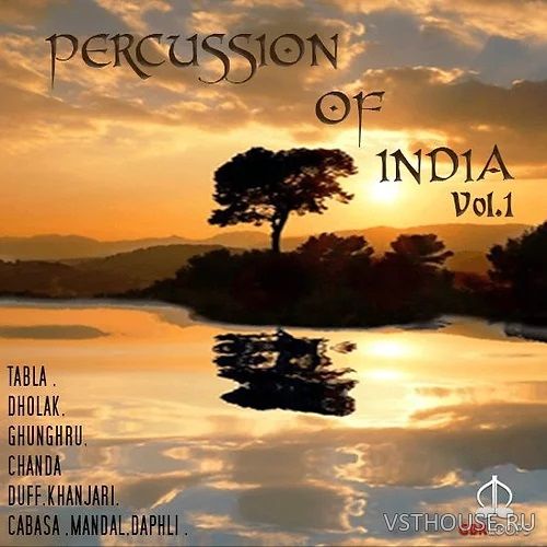GBR Loops - Percussion Of India Vol.1 (KONTAKT)