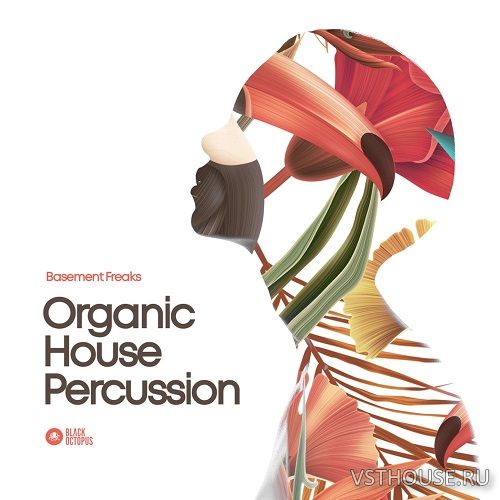 Black Octopus Sound - Basement Freaks Presents Organic House
