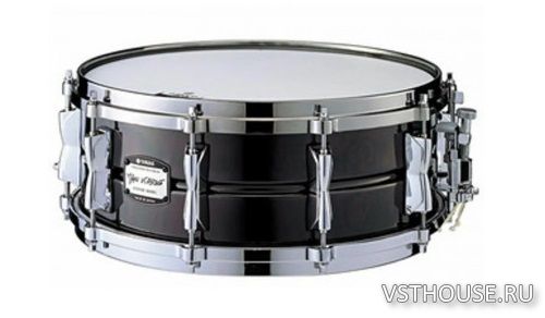 inMusic Brands - BFD Manu Katche Signature Snare (BFD3) inMusic Brands - BFD Manu Katche Signature Snare (BFD3)