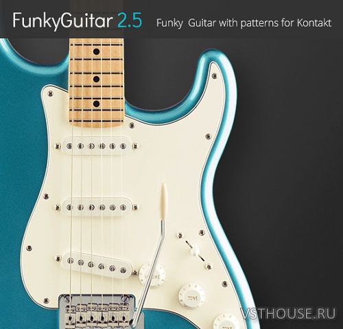 Pettinhouse - Funky Guitar v2.5 (KONTAKT) Pettinhouse - Funky Guitar v2.5 (KONTAKT)
