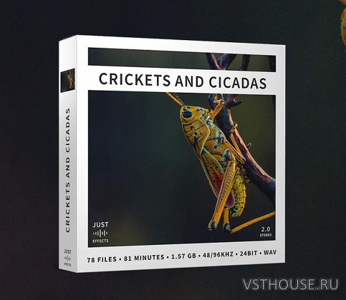 Just Sound Effects - Crickets and Cicadas (WAV) Just Sound Effects - Crickets and Cicadas (WAV)