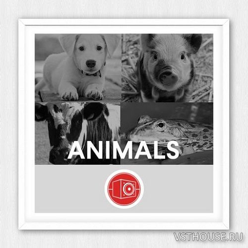 Big Room Sound - Animals (WAV) Big Room Sound - Animals (WAV)