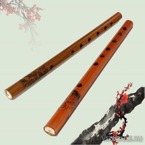 61 Dizayn Production - Duduk Flute (KONTAKT) 61 Dizayn Production - Duduk Flute (KONTAKT)