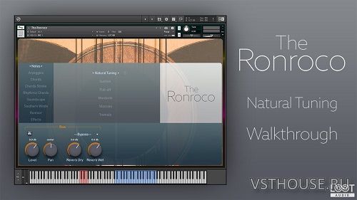 Guareschi - The Ronroco (KONTAKT)