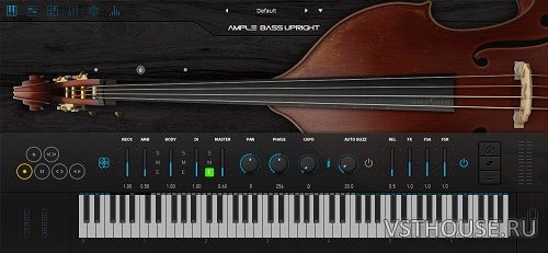 Ample Sound - Ample Bass Upright 3.6.0 Update Ample Sound - Ample Bass Upright 3.6.0 Update