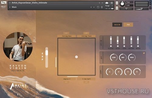 Inletaudio - Kayvon Violin Intimate (KONTAKT)