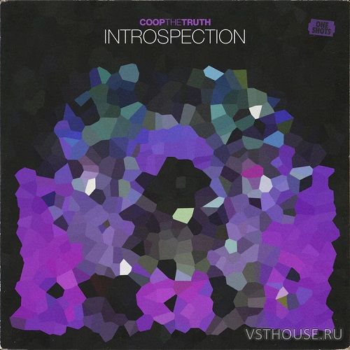 Coop The Truth - INTROSPECTION (One Shots) (WAV) Coop The Truth - INTROSPECTION (One Shots) (WAV)