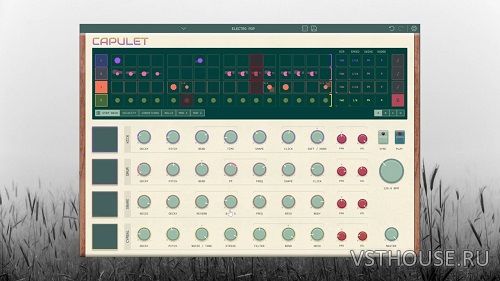 Reel Audio Instruments - Capulet v1.1.1 VST3i x64