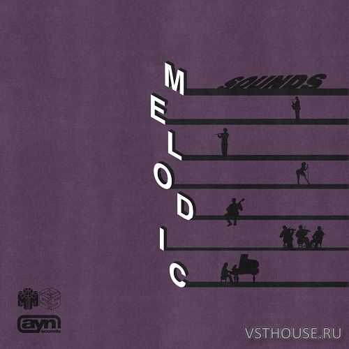 AYN Sounds - Melodic Sounds (WAV)