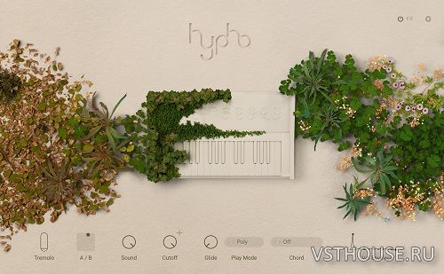 Native Instruments - HYPHA 1.1.0 (KONTAKT) Native Instruments - HYPHA 1.1.0 (KONTAKT)
