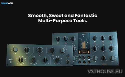 NoiseAsh - Backs Pro Bundle v1.0.0 VST3, AAX, AU WIN.OSX