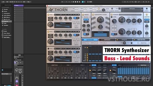 Plugin Alliance & Dmitry Sches - DS Thorn v1.3.2 Plugin Alliance & Dmitry Sches - DS Thorn v1.3.2