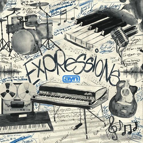 AYN Sounds - Expressions (WAV) AYN Sounds - Expressions (WAV)