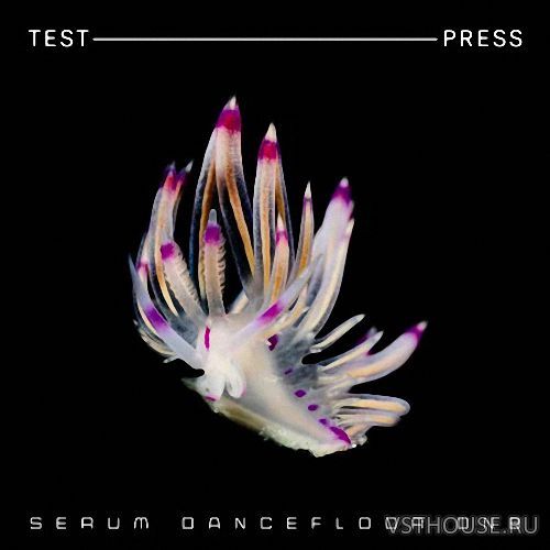 Test Press - Serum Dancefloor DnB (SERUM, WAV, MIDI) Test Press - Serum Dancefloor DnB (SERUM, WAV, MIDI)