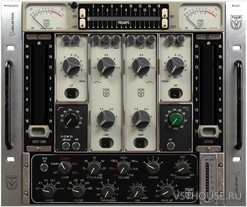Acustica Audio - Tulip 2023 REPACK VST, VST3, AAX x64 [21.12.2023]