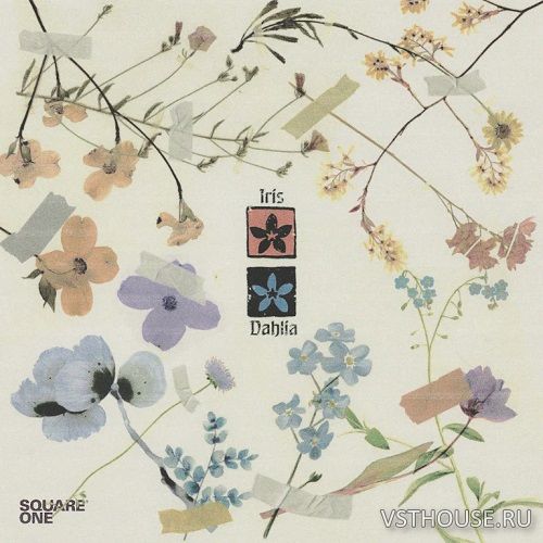 Oscar Zulu - Square One Music Library - Dahlia and Iris Multi-Kit Oscar Zulu - Square One Music Library - Dahlia and Iris Multi-Kit