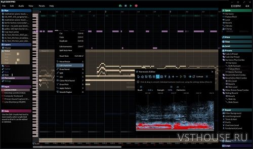 Hit 'n' Mix - RipX DAW PRO v7.0.2 (x64) [12.2023, ENG] MOCHA