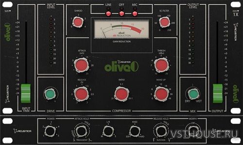 Acustica Audio - Olive 2023 REPACK VST, VST3, AAX x64 Acustica Audio - Olive 2023 REPACK VST, VST3, AAX x64