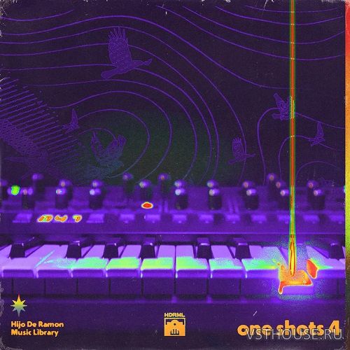 Hijo De Ramon Music Library - ONE SHOTS Vol. 4 (WAV)