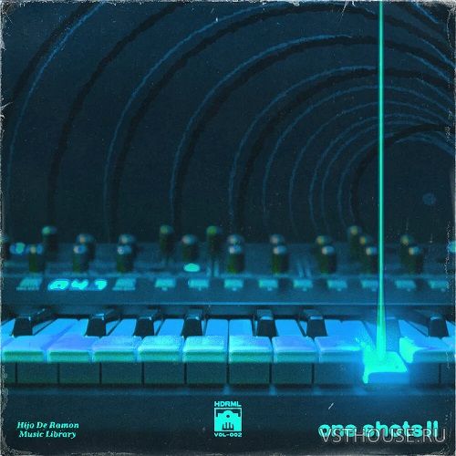 Hijo De Ramon Music Library - ONE SHOTS Vol. 2 (WAV)