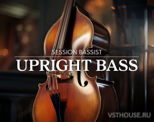 Native Instruments - Session Bassist Upright Bass (KONTAKT)
