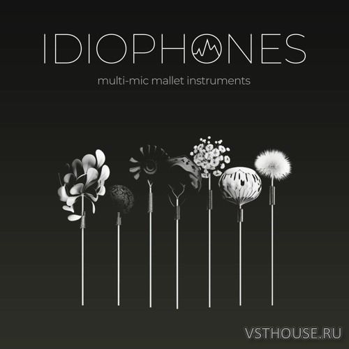 Sonokinetic - IDIOPHONES (KONTAKT)