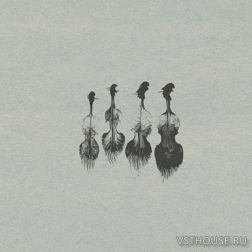 Wrongtools - Feathersome Strings (KONTAKT)