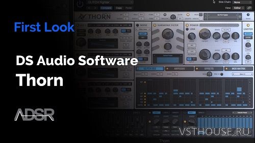 Plugin Alliance & Dmitry Sches - DS Thorn v1.3.3 Plugin Alliance & Dmitry Sches - DS Thorn v1.3.3