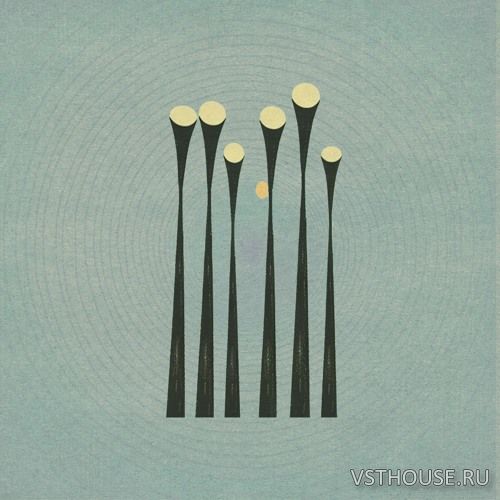 Wrongtools - Bone Chain (KONTAKT)