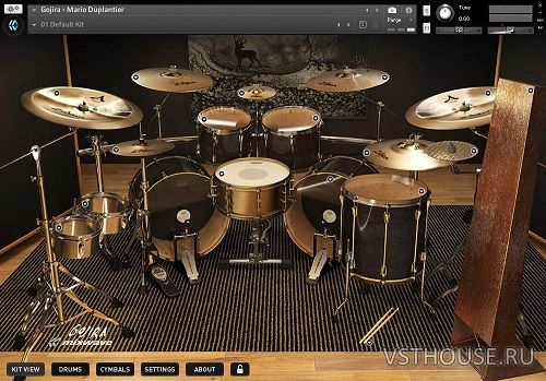 MixWave - Gojira - Mario Duplantier v1.1.1 +TCI (KONTAKT) MixWave - Gojira - Mario Duplantier v1.1.1 +TCI (KONTAKT)