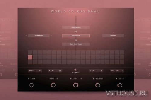 Evolution Series - World Colors Bawu 2.0 (KONTAKT) Evolution Series - World Colors Bawu 2.0 (KONTAKT)