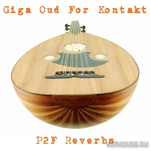 Past to Future Reverbs - Giga Oud (KONTAKT) Past to Future Reverbs - Giga Oud (KONTAKT)