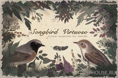 Loops de la Creme - Songbird Virtuoso (+Update 06.2022) (KONTAKT) Loops de la Creme - Songbird Virtuoso (+Update 06.2022) (KONTAKT)