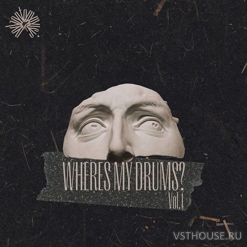Podzontommusic - Wheres my drums Vol.1 (WAV)