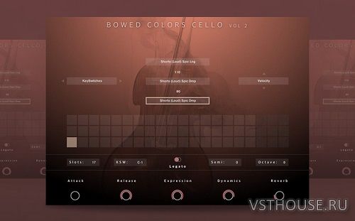 Evolution Series - Bowed Colors Cello Vol. 2 (KONTAKT)