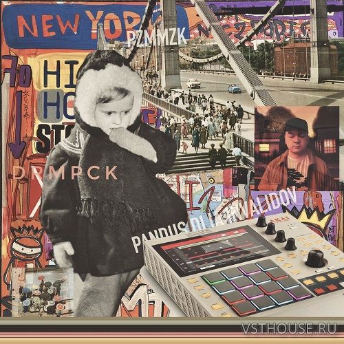 Podzontommusic - Pzmmzk drmpck (WAV)
