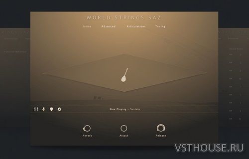 Evolution Series - World Strings Saz (KONTAKT) Evolution Series - World Strings Saz (KONTAKT)