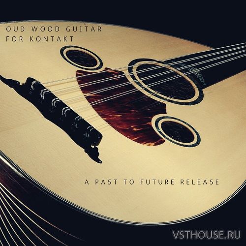 Past to Future Reverbs - Oud Wood Guitar (KONTAKT) Past to Future Reverbs - Oud Wood Guitar (KONTAKT)