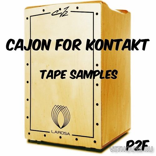 Past to Future Reverbs - P2F Cajon (KONTAKT) Past to Future Reverbs - P2F Cajon (KONTAKT)