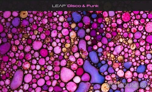Native Instruments - Leap Disco & Funk (KONTAKT) Native Instruments - Leap Disco & Funk (KONTAKT)