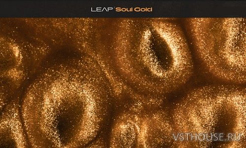 Native Instruments - Leap Soul Gold (KONTAKT) Native Instruments - Leap Soul Gold (KONTAKT)