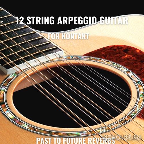Past to Future Reverbs - 12 String Arpeggio Guitar (KONTAKT)