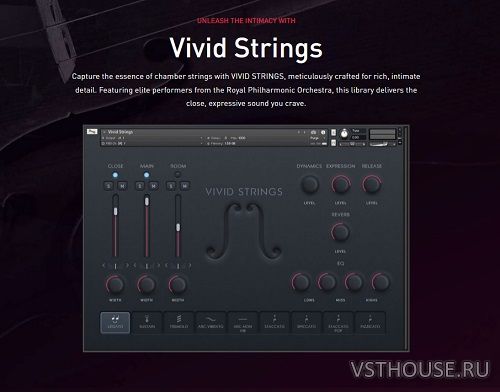 Pulse Audio - Vivid Strings Basses (KONTAKT) Pulse Audio - Vivid Strings Basses (KONTAKT)