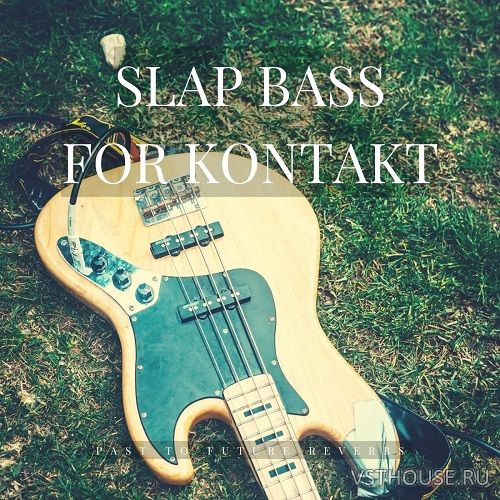 Past to Future Reverbs - Slap Bass (KONTAKT) Past to Future Reverbs - Slap Bass (KONTAKT)