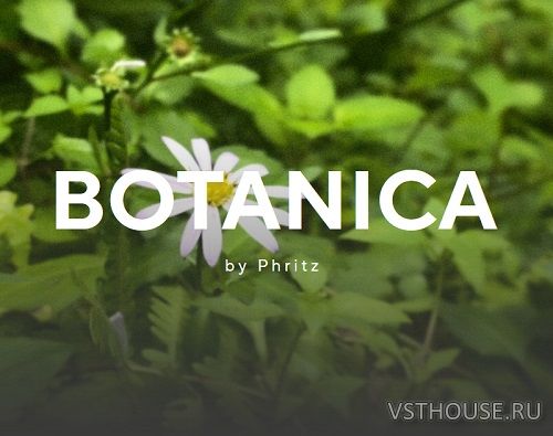 Lunacy Audio - Cube Botanica Expansion (SYNTH PRESET) Lunacy Audio - Cube Botanica Expansion (SYNTH PRESET)