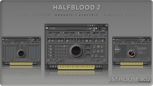 Insanity Samples - Halfblood 2 v1.5.0 (KONTAKT) Insanity Samples - Halfblood 2 v1.5.0 (KONTAKT)