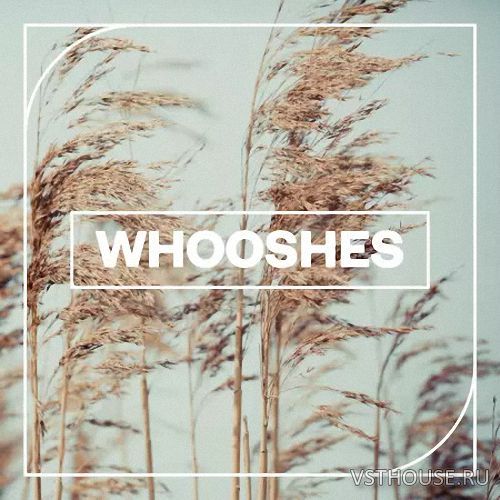 Blastwave FX - Wooshes (WAV)